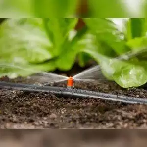 تنوع محصولات